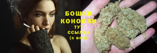 эйфоретик Вязьма