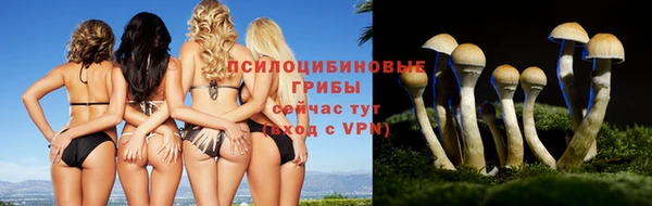эйфоретик Вязьма