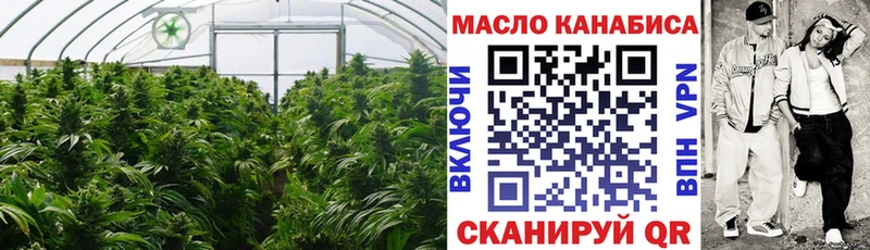 ТГК концентрат Олонец