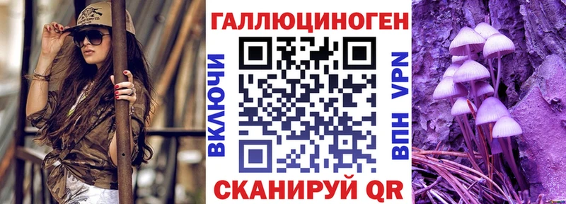Купить закладки  Олонец  Галлюциногенные грибы Psilocybine cubensis 